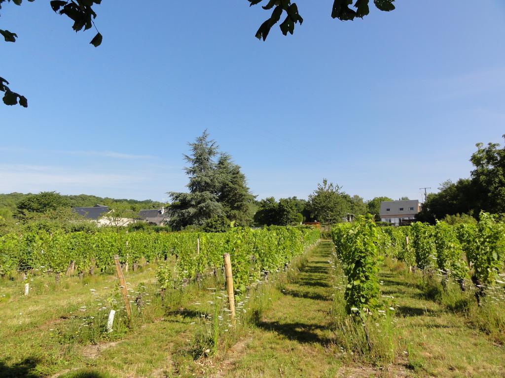 Le Clos Des Berengeries Saint-Patrice Exterior photo